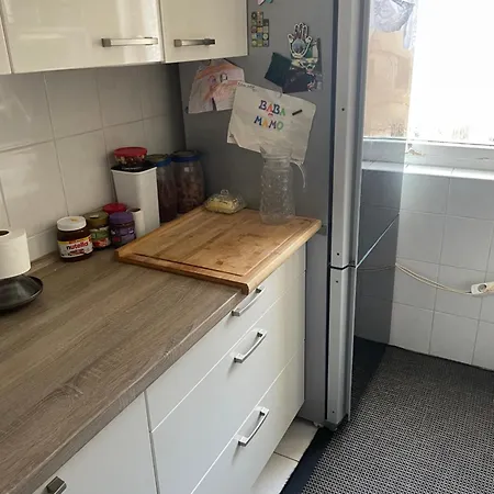 Dikmen Family House In Berlin