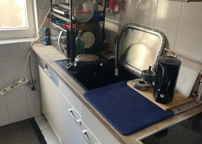 Dikmen Family House In * برلين